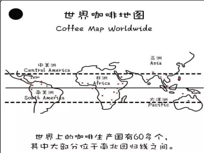 详解非洲产区咖啡豆特点（1）